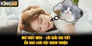 Mơ Thấy Mèo – Lời Giải Chi Tiết Ẩn Sau Loài Vật Quen Thuộc