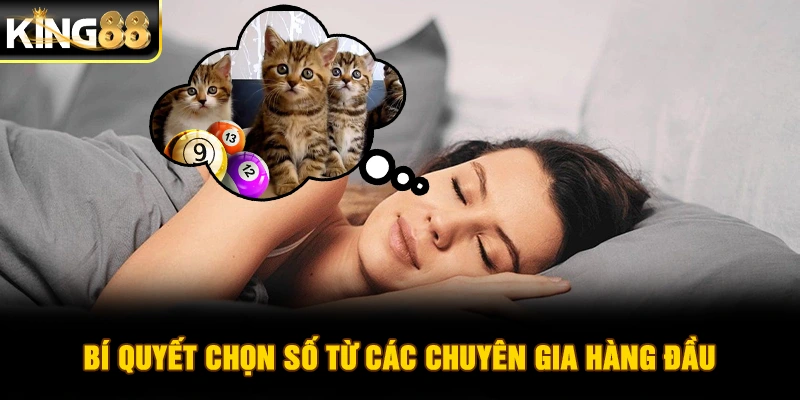 Bí quyết chọn số từ các chuyên gia hàng đầu