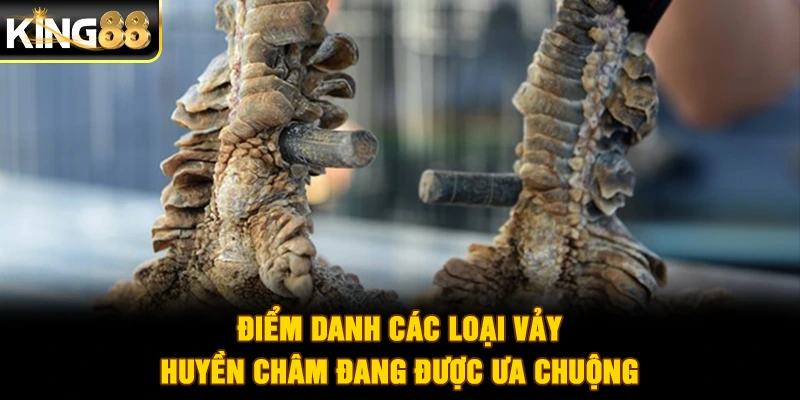 Điểm danh các loại vảy huyền châm đang được ưa chuộng