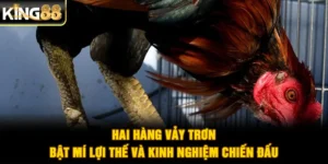 Hai Hàng Vảy Trơn - Bật Mí Lợi Thế Và Kinh Nghiệm Chiến Đấu