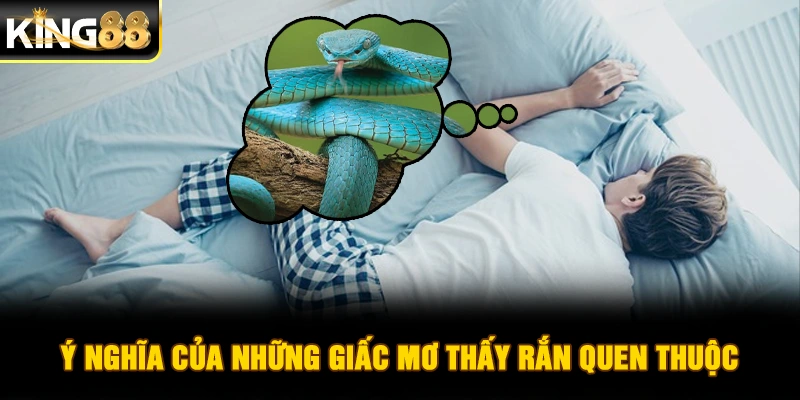 Ý nghĩa của những giấc mơ thấy rắn quen thuộc